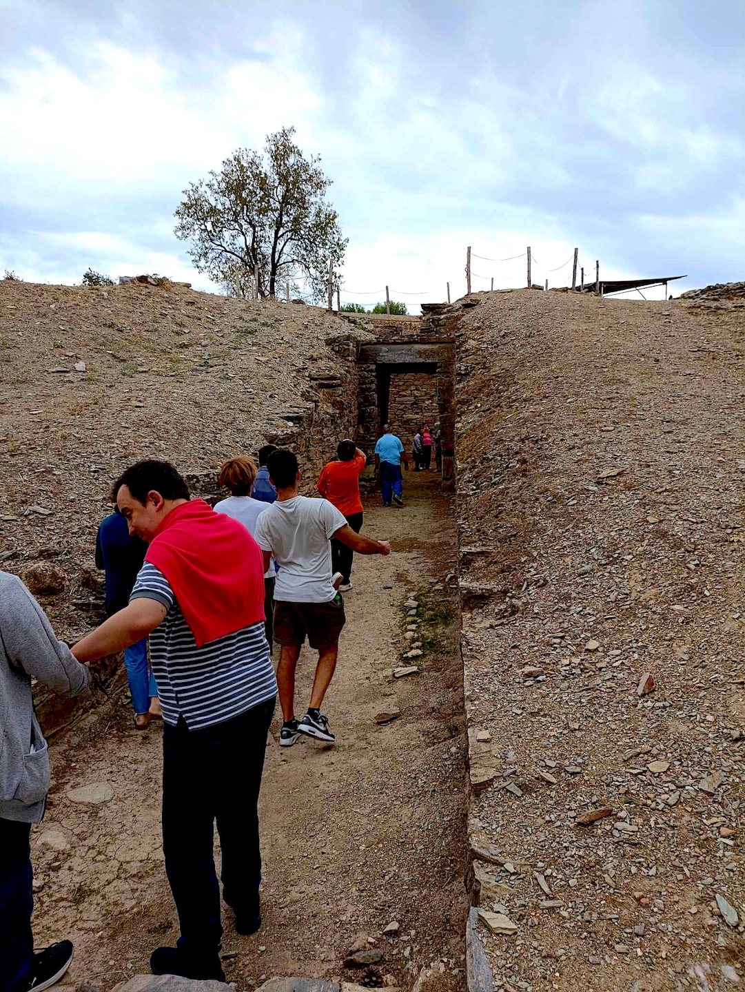 2022 12 20 KDAP MEA Mouseioskeves