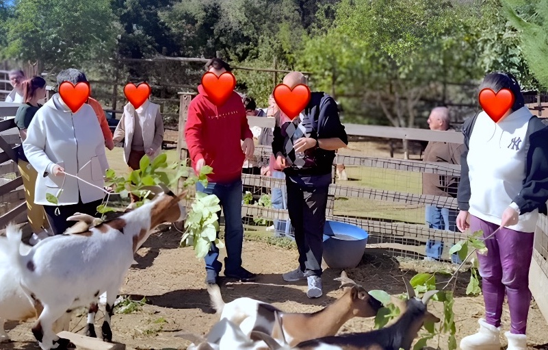 ΚΔΑΠ-ΜΕΑ Βόλου