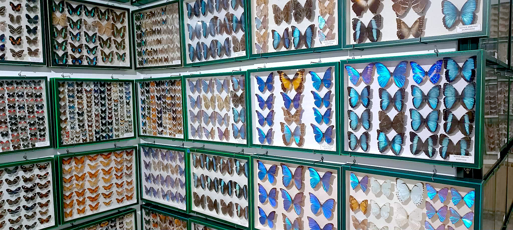 2024 01 21 KDAPMEA Volou 