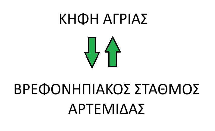 ΚΗΦΗ ΑΓΡΙΑΣ