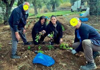 ΣΥΔ Δήμου Βόλου